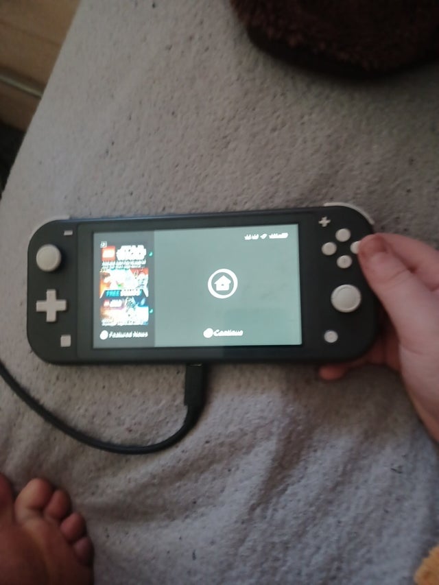 Nintendo switch lite
