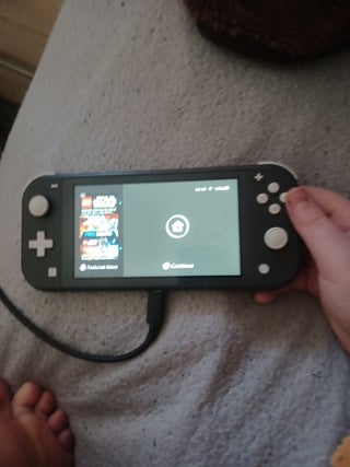 Nintendo switch lite