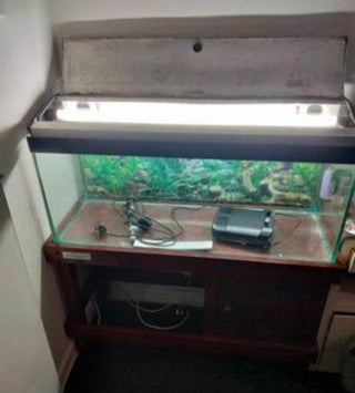 fish tank and stand