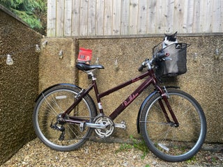 Pendleton Brooke Ladies Bike