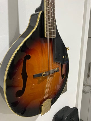 Mandolins