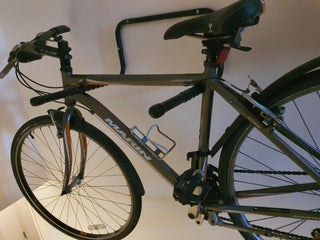 Marin Larkspur Man bike